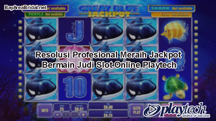 Resolusi Profesional Meraih Jackpot Bermain Judi Slot Online Playtech